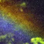 Nebulizzatori professionali: che funzione svolgono e quale acquistare