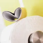 Il giusto porta rotolo per il bagno