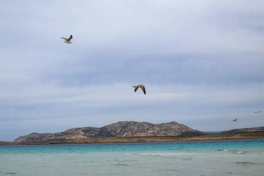 Prenota in anticipo le tue vacanze per trovare le migliori offerte