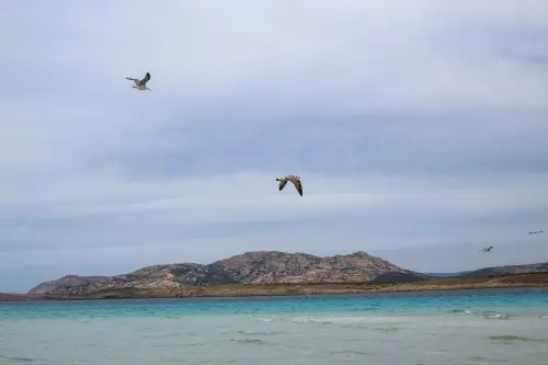 Prenota in anticipo le tue vacanze per trovare le migliori offerte