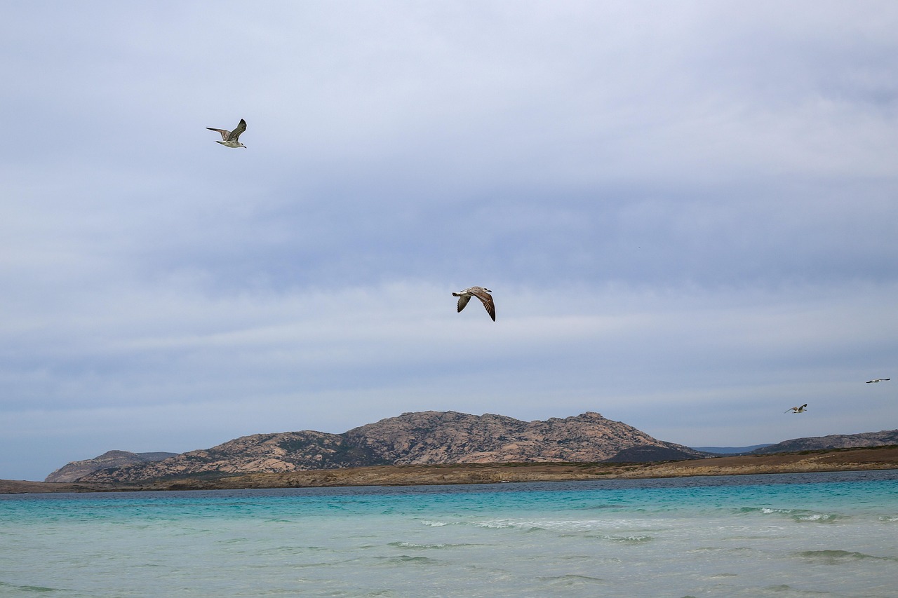 Prenota in anticipo le tue vacanze per trovare le migliori offerte