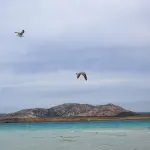 Prenota in anticipo le tue vacanze per trovare le migliori offerte