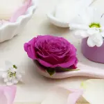 Scegli la cosmesi bio per la tua pelle