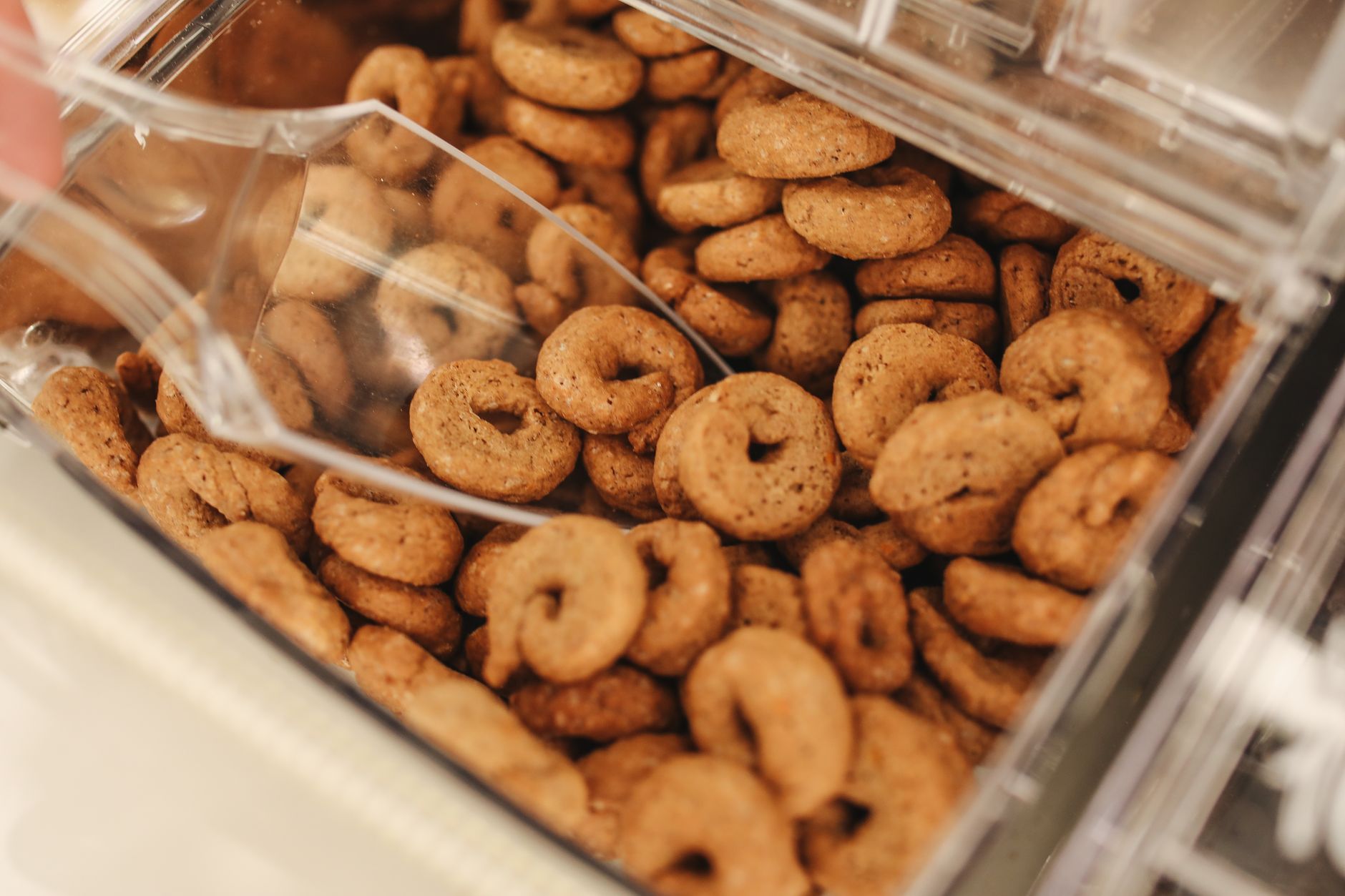 Calorie dei Taralli: Valori Nutrizionali e Porzioni