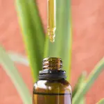 Olio di CBD: quali sono i dosaggi ideali?