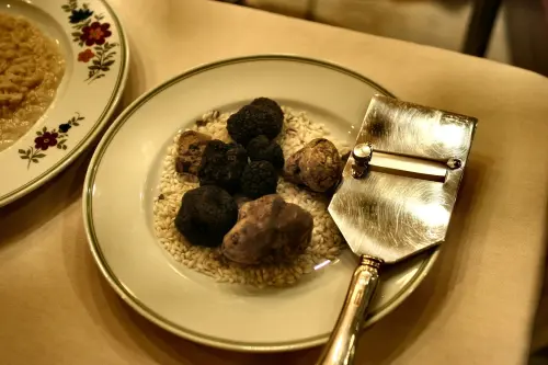 Tartufi in gravidanza: si possono mangiare?