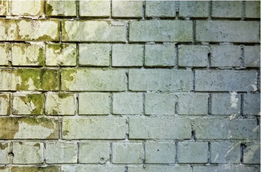 Protezione delle pareti di casa con i giusti prodotti