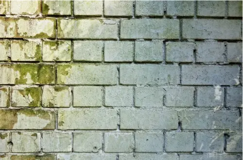 Protezione delle pareti di casa con i giusti prodotti