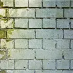 Protezione delle pareti di casa con i giusti prodotti